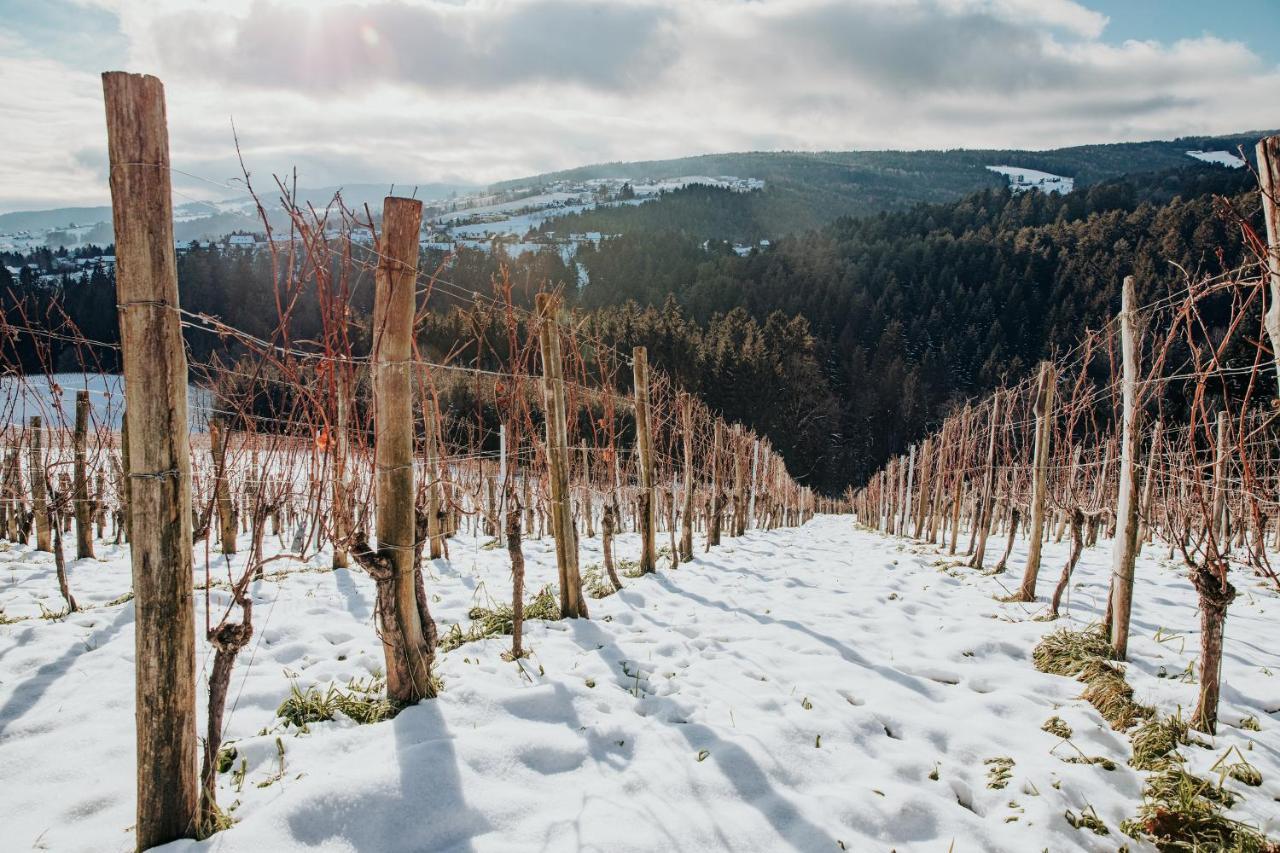 Вилла Weinstoeckl Hochgrail Pures Sein Sankt Stefan ob Stainz Экстерьер фото