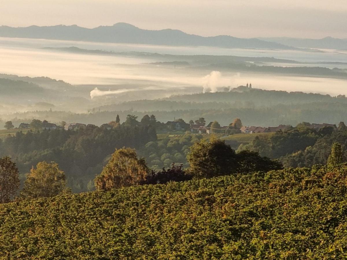 Вилла Weinstoeckl Hochgrail Pures Sein Sankt Stefan ob Stainz Экстерьер фото