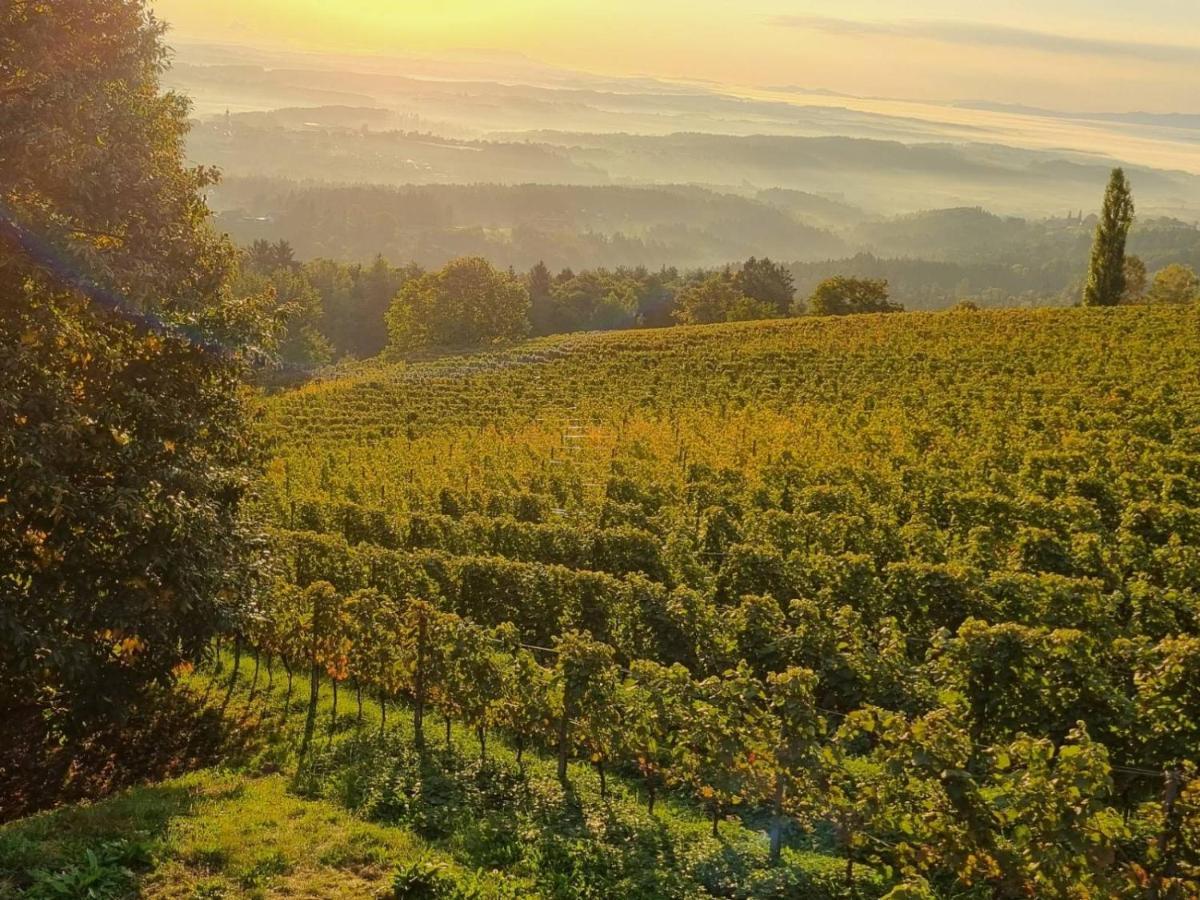 Вилла Weinstoeckl Hochgrail Pures Sein Sankt Stefan ob Stainz Экстерьер фото